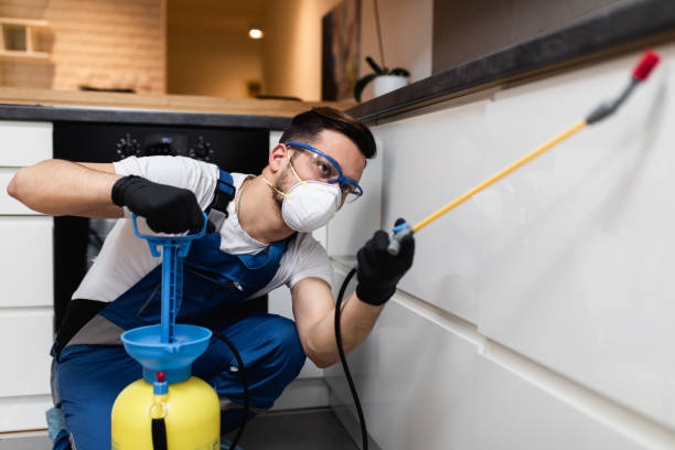 Trusted Santa Claus, IN Pest Control Experts