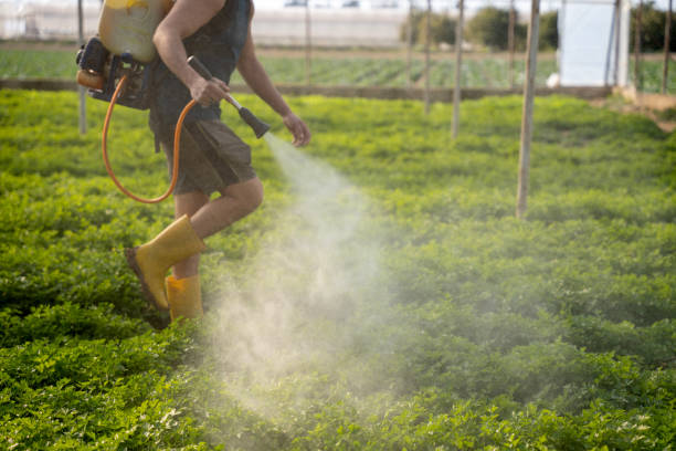 Best Affordable Pest Control Services  in Santa Claus, IN