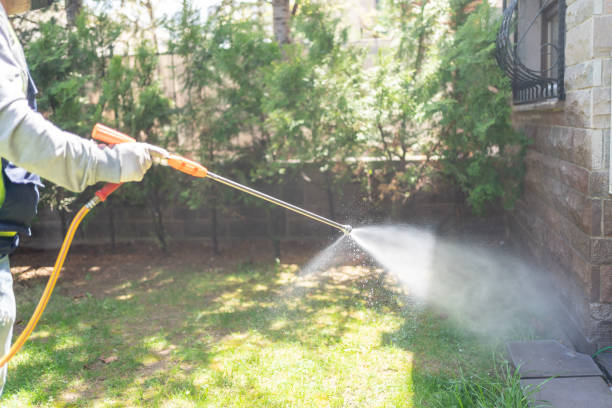 Best Local Pest Control Services  in Santa Claus, IN