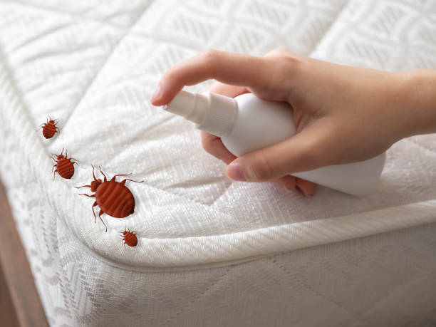 Best Residential Pest Control  in Santa Claus, IN