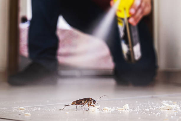 Best Pest Removal Services  in Santa Claus, IN
